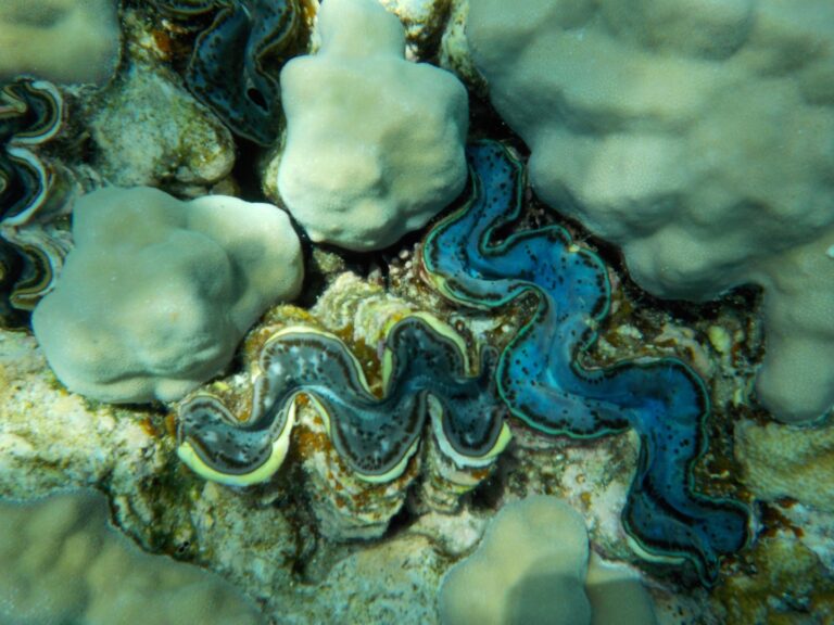 WhatsAppova datoteka Slika, 2023-05-31 ob 19.38.22_096d5d94