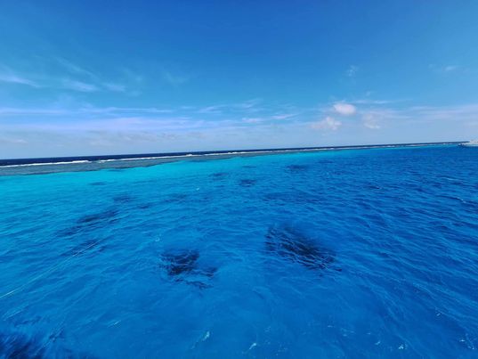 393105655_1024857105273625_4275095827122450634_n