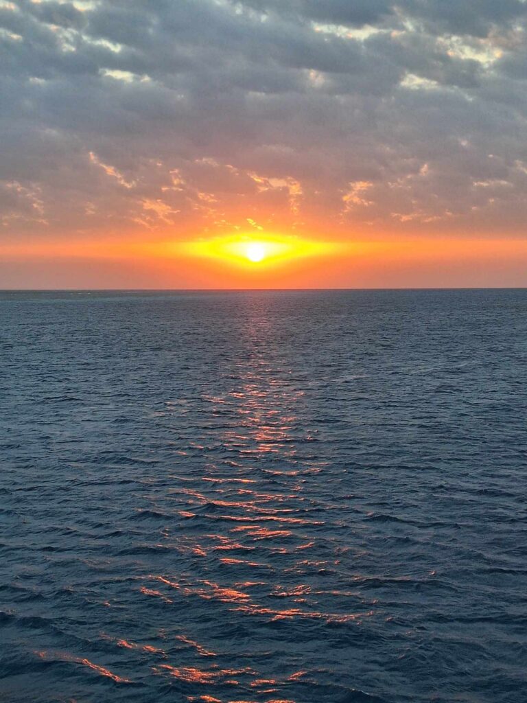 393154510_1507770426730285_4666905595007576708_n