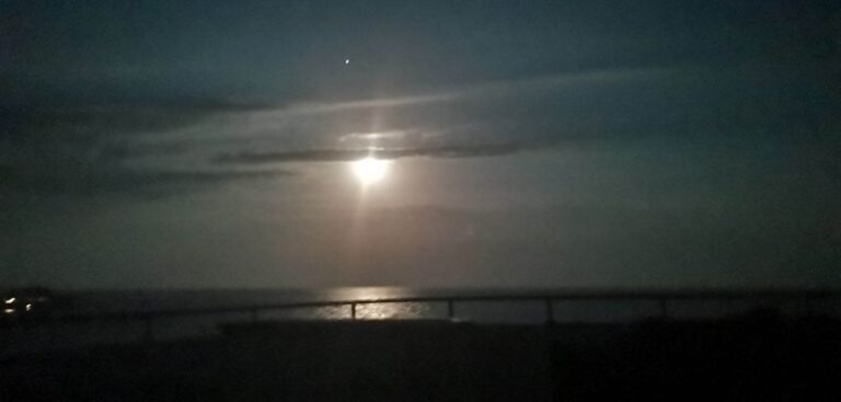 410524787_1725015381331520_4170689522496791110_n